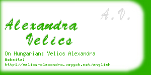 alexandra velics business card